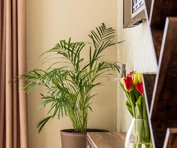 Sakura_inn 帕兰加